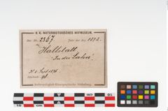 Etikett zu Glasgefäß (NHMW-PRAE-002367)